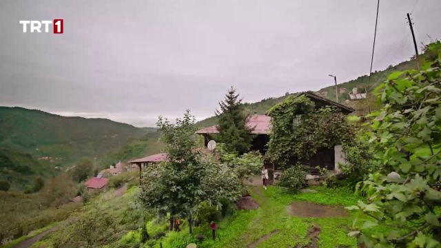 سریال ترکی این دریا طغیان خواهد کرد فصل 2 قسمت 33 زیرنویس فارسی + تماشای آنلاین videochi